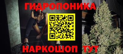 хмурый Свободный