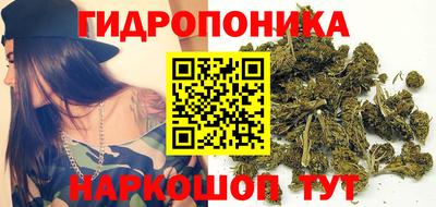 хмурый Свободный