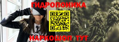 хмурый Свободный