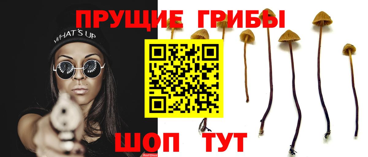 Псилоцибиновые грибы MAGIC MUSHROOMS Полевской