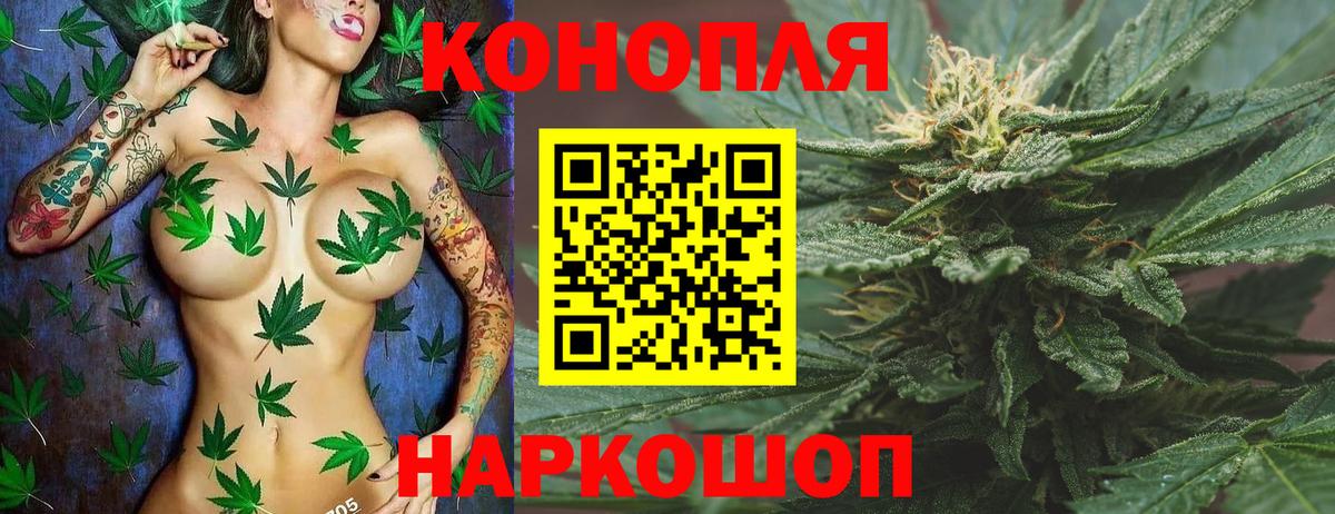 МАРИХУАНА конопля Полевской